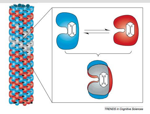 0x01 graphic