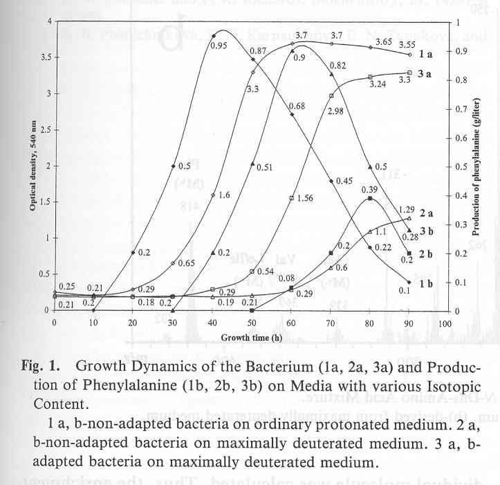 Growth dynamics of adapted to heavy water microorganism [O.V.Mosin]