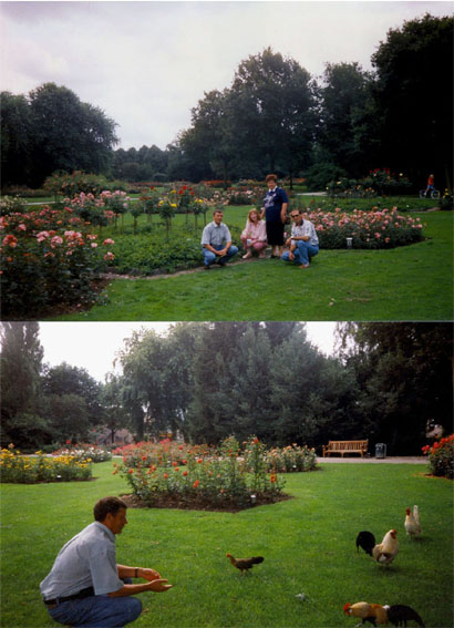  1997 . . Rosarium Winschoten.  []