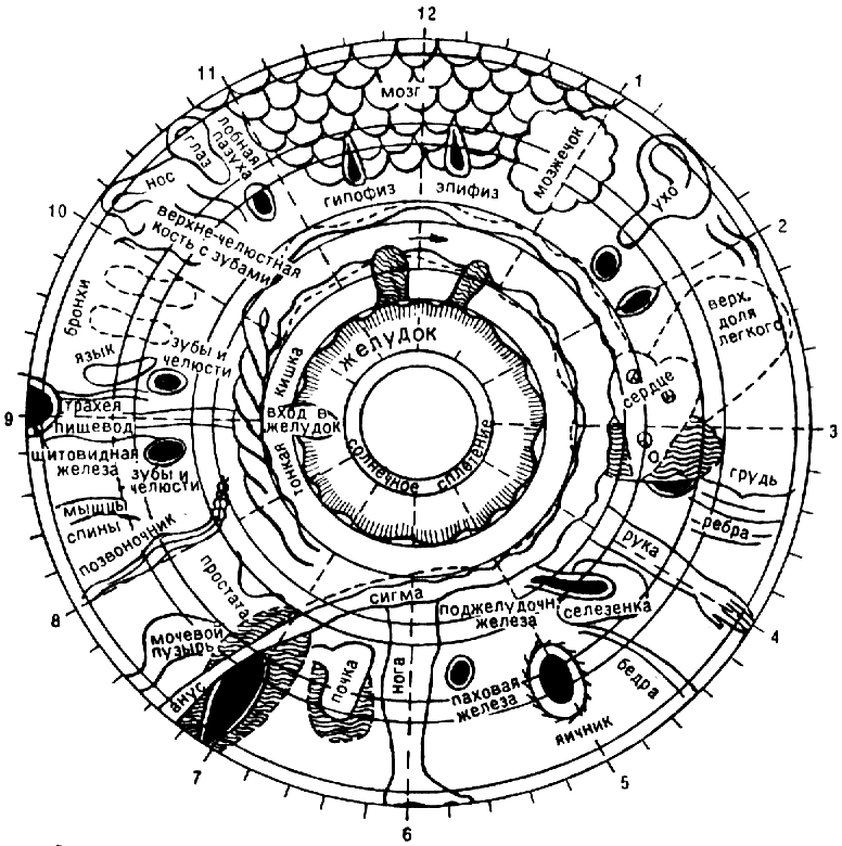 0x08 graphic