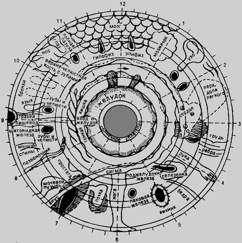 0x08 graphic